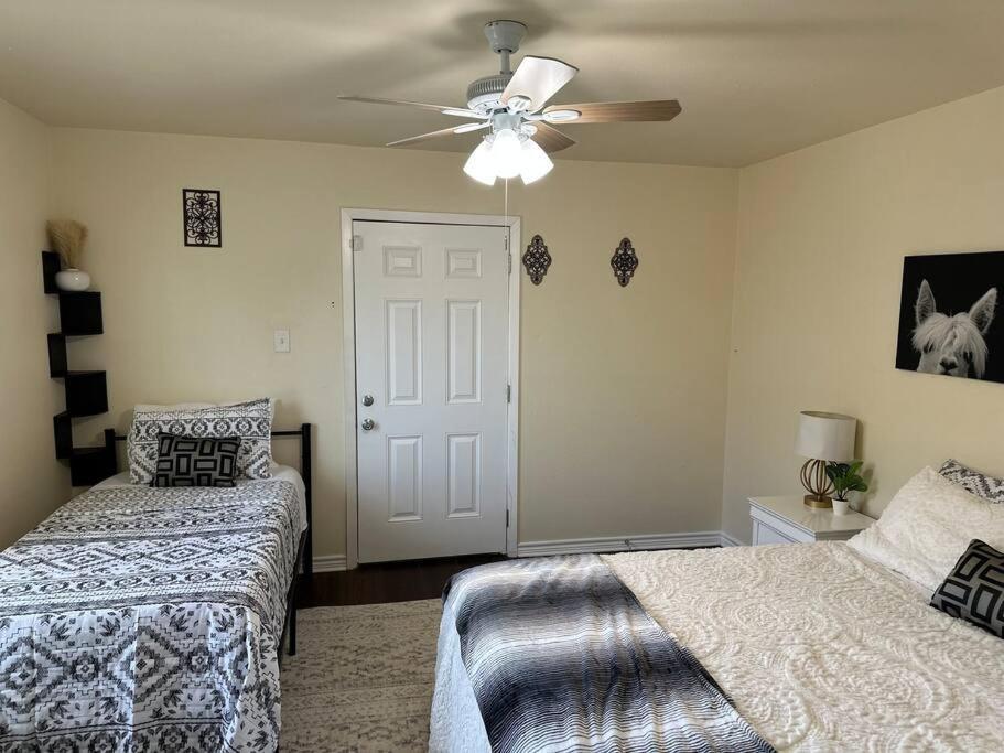 Апартаменти Walk To The Alamodome! Sleeps 6, Pet Friendly Сан-Антоніо Екстер'єр фото